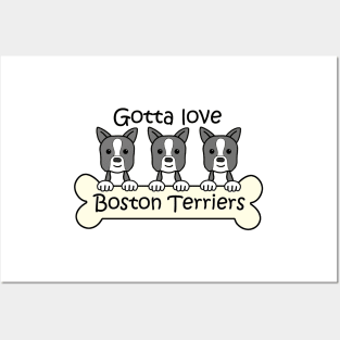 Gotta Love Boston Terriers Posters and Art